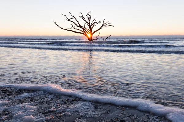 Wschód słońca w Botany Bay beach — Zdjęcie stockowe