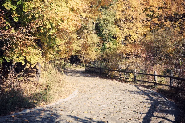 Countryside autumn view — Stock Photo, Image