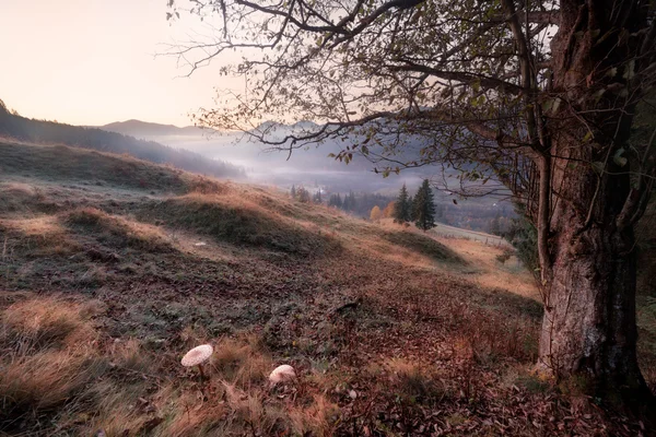 Mattina presto colline di montagna — Foto Stock