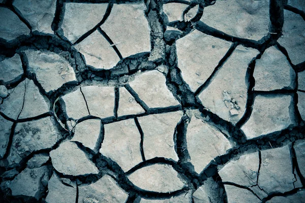 Detail texture of a dried cracked earth soil — Stock Photo, Image