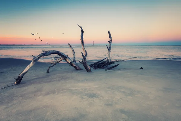 Morris Lighthouse Island na zachodzie słońca — Zdjęcie stockowe