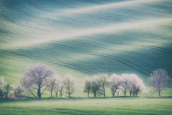 Vintage stijl beeld van glooiende heuvels, bomen en groen gras fiel — Stockfoto