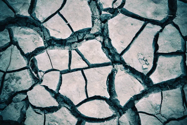 Detail texture of a dried cracked earth soil — Stock Photo, Image