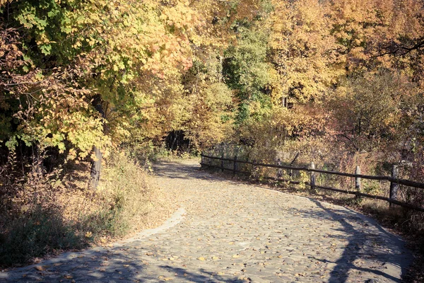 Countryside autumn view — Stock Photo, Image