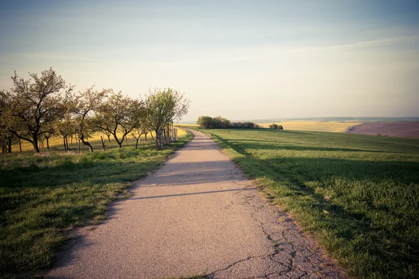 Foto de estilo vintage de la carretera en hermosa vista al campo —  Fotos de Stock