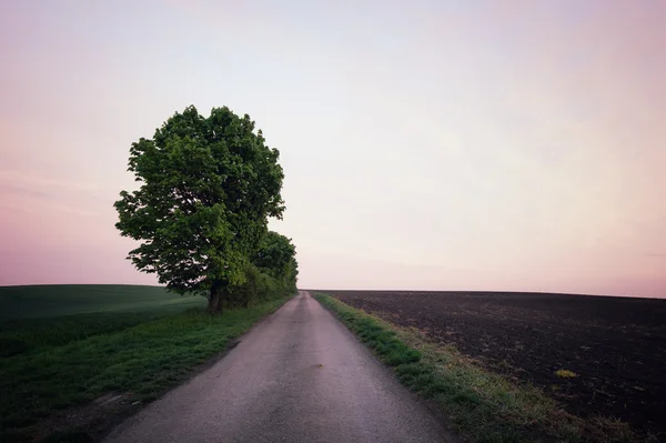 Paisagem rural bonita — Fotografia de Stock