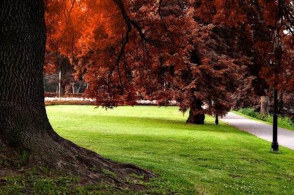 Jesienne kolory park miejski — Zdjęcie stockowe