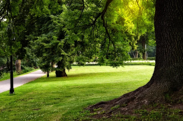 Letni park miejski — Zdjęcie stockowe