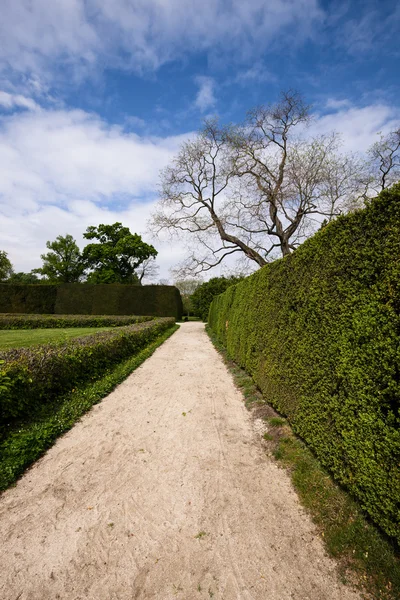 Sommerpark-Gehweg — Stockfoto