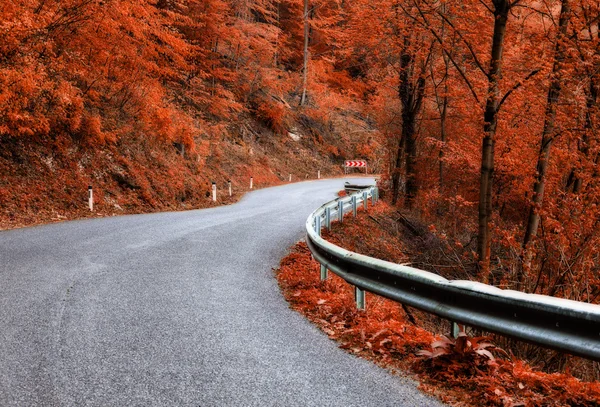 Camino de asfalto a través del bosque de otoño — Foto de Stock