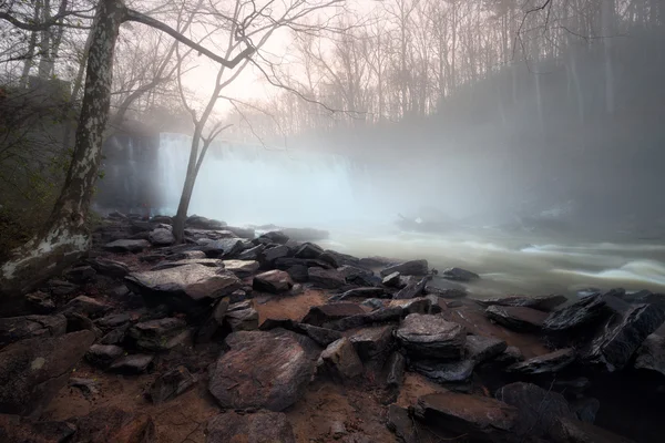 Mattina nebbiosa al torrente foresta — Foto Stock