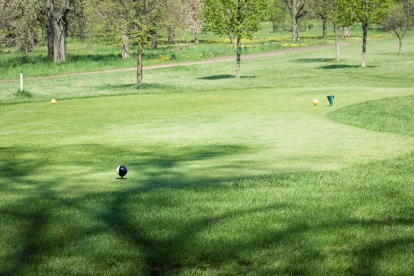 Pelota de golf en el campo de golf verde —  Fotos de Stock