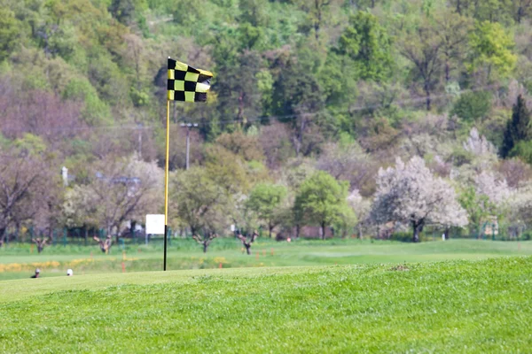 Grüner Golfplatz — Stockfoto