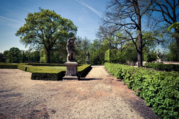 Park alley at sunny day — Stock Photo, Image