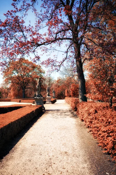 Park w słoneczny jesienny dzień — Zdjęcie stockowe