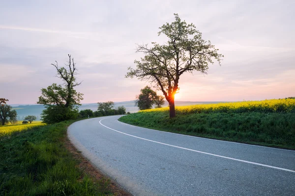 Estrada de asfalto ao nascer do sol — Fotografia de Stock