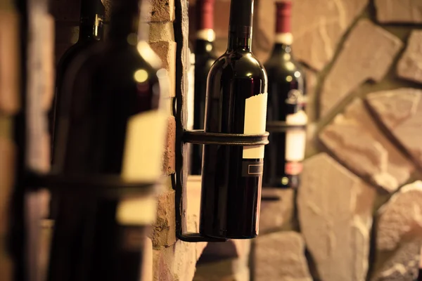 Yeraltı mahzeni şarap şişe — Stok fotoğraf