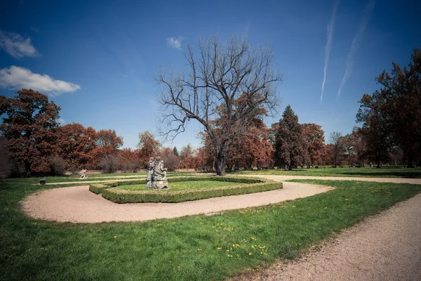 晴れた秋の日に古い公園 — ストック写真