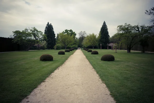 Foto de estilo vintage de jardín de primavera —  Fotos de Stock