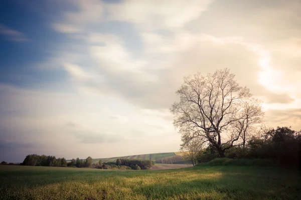 Beautiful countryside landscape at sunset — Stock Photo, Image