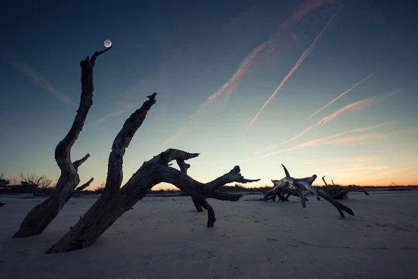 Folly Beach en el crepúsculo — Foto de Stock