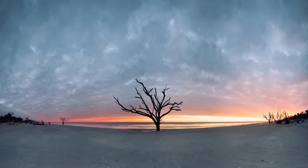 在多云的日落植物学湾海滩全景图 — 图库照片