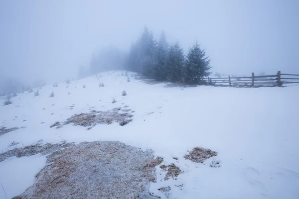 Зимові Карпати — стокове фото