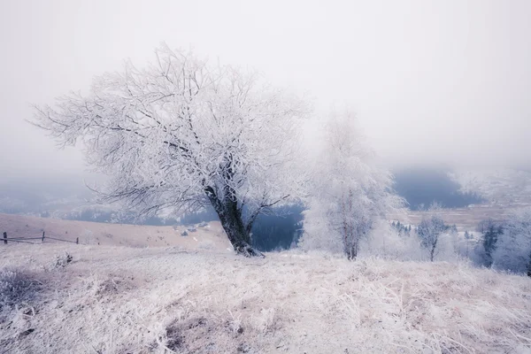 Kış dağlar tepeler — Stok fotoğraf