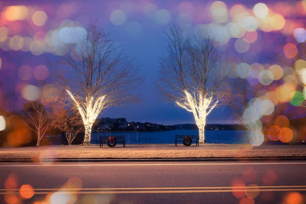 Рождественские елки у озера — стоковое фото