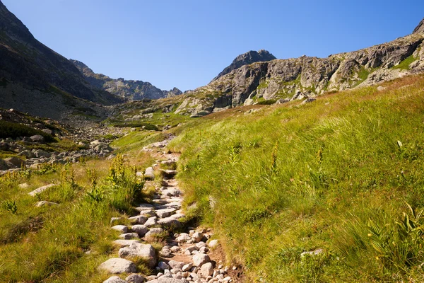 Mountain path — Stock Photo, Image