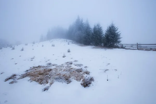 겨울 카 르 파티 아 산맥 — 스톡 사진
