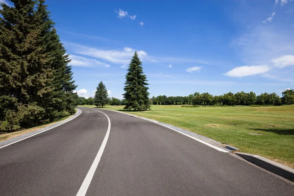 Közúti és a zöld fű pázsit — Stock Fotó