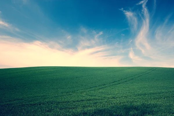 푸른 하늘 배경 위에 녹색 잔디의 레트로 스타일 사진 — 스톡 사진