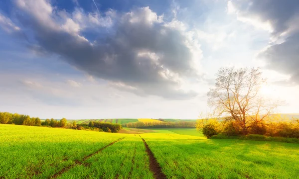 Bellissimo paesaggio soleggiato — Foto Stock