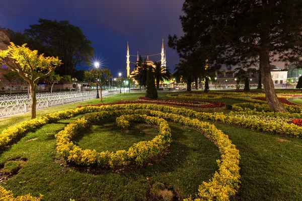 Night city park og Blue Mosque - Stock-foto