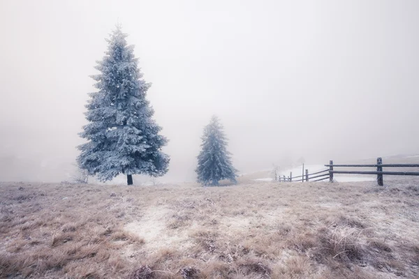 Winter Carpathian mountains — Stock Photo, Image