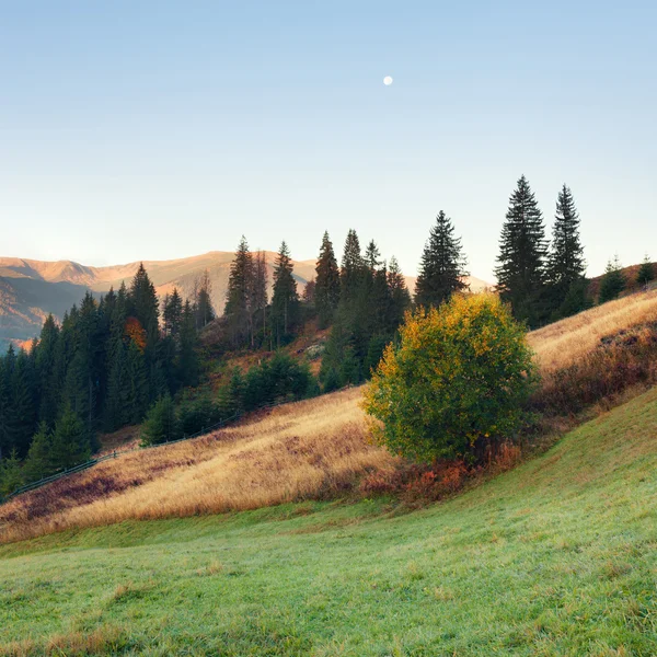 Herbst Farben Berge Hügel — Stockfoto