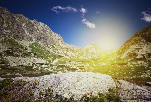 Винтажный пейзаж летних гор — стоковое фото