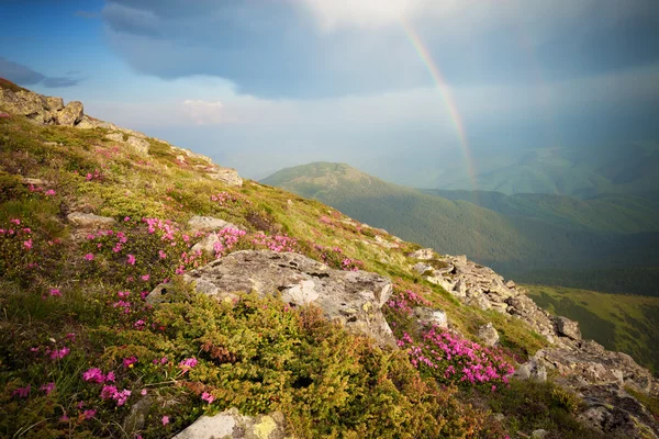 Panorama mountain kopců s duhou na obloze — Stock fotografie