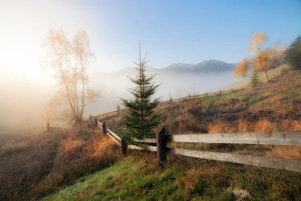 Sisli sonbahar sabahı Hills'te dağ — Stok fotoğraf