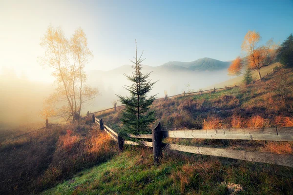 Horské kopce na mlhavé podzimní ráno — Stock fotografie