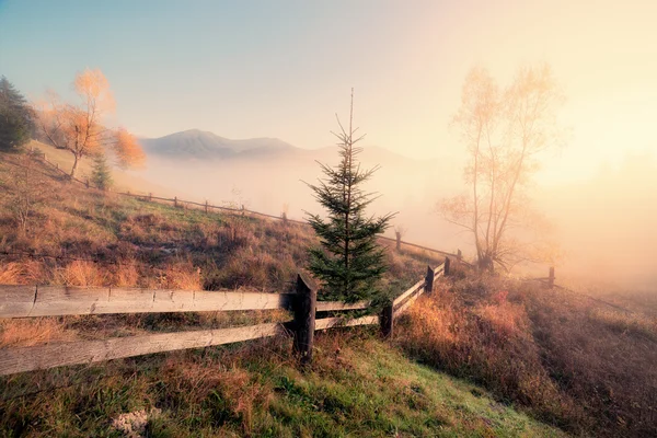 Colline di montagna alla nebbiosa mattina d'autunno — Foto Stock