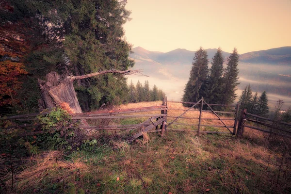 Vintage foto di colline di montagna a nebbia mattina d'autunno — Foto Stock