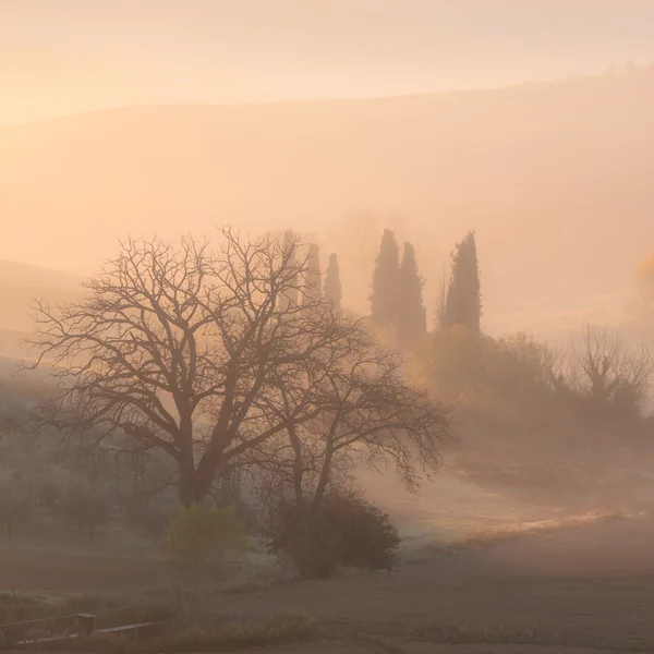 Zonsopgang op platteland landschap — Stockfoto