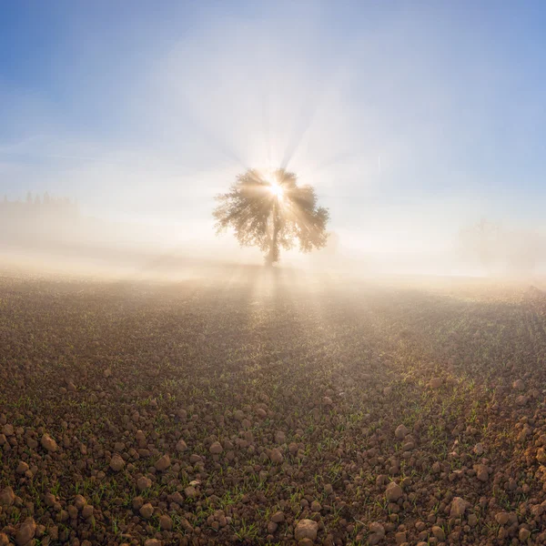 Panorama de paisaje soleado y nebuloso — Foto de Stock