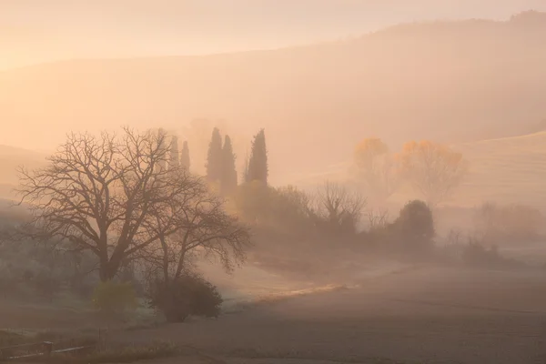 Zonsopgang op platteland landschap — Stockfoto