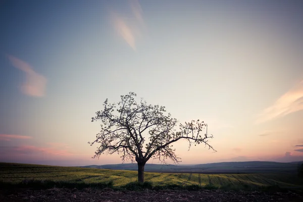 Bellissimo paesaggio di campagna al tramonto — Foto Stock