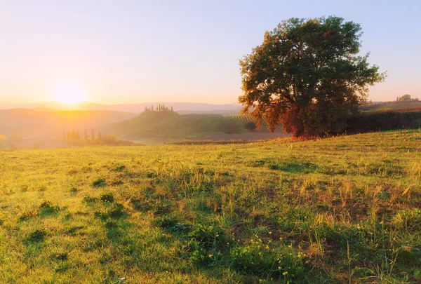Countryside landscape at beautiful sunrise — Stock Photo, Image