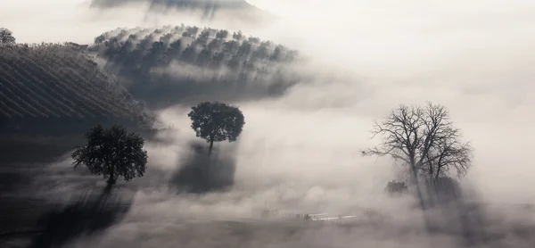 Nascer do sol sobre paisagem rural — Fotografia de Stock