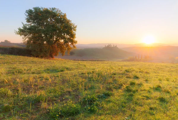 Countryside landscape at beautiful sunrise — Stock Photo, Image